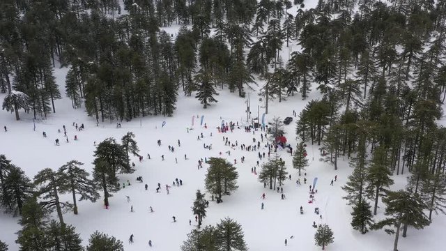 Snow mountains and pine woodlands in Mediterranean