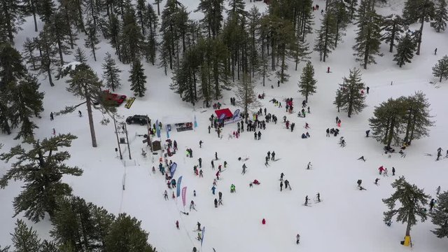 Snow mountains and pine woodlands in Mediterranean