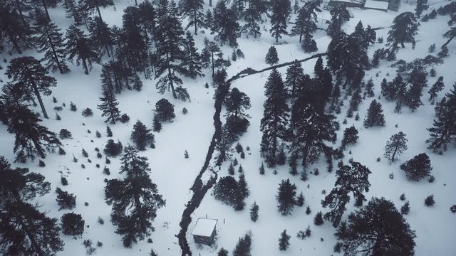 Snow mountains and pine woodlands in Mediterranean