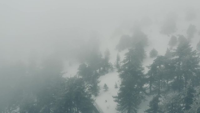Snow mountains and pine woodlands in Mediterranean