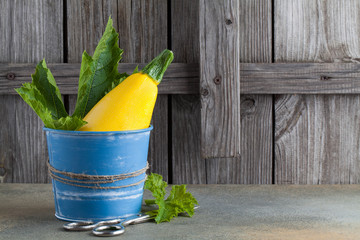 yellow zucchini in a blue bucket 
