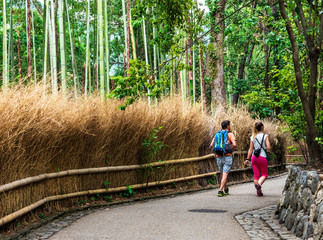 京都　嵯峨野を散策する外国人観光客