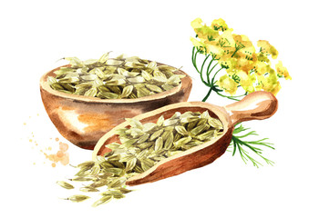 Dried fennel seeds with fennel flower. Watercolor hand drawn illustration isolated on white background