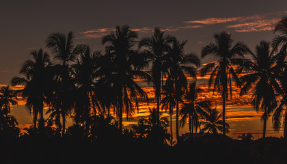 Pinta el cielo con tu luz Ixtapa, México