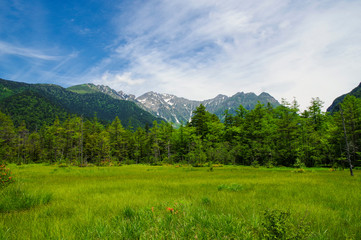 Fototapeta na wymiar 田代湿原から見る穂高連峰