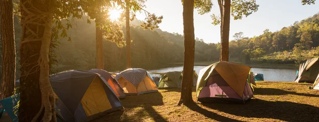 Deurstickers Tents in pine parks © stnazkul