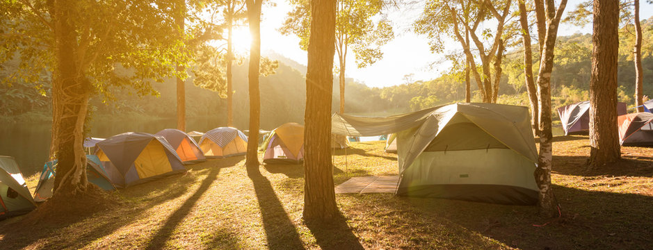 Tents in pine parks