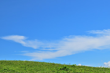 空と草原