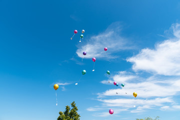 balloons with greeting cards in the sky