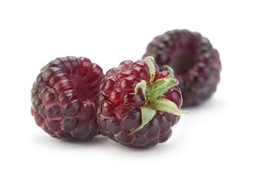 Cumberland fruit on white
