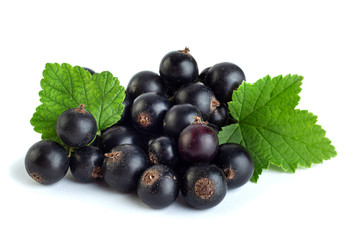 Black currant berries closeup