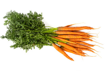 carrots isolated on white background