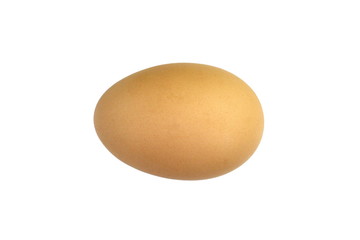 Raw Egg on White Background.