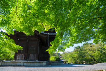 京都　南禅寺の三門と新緑