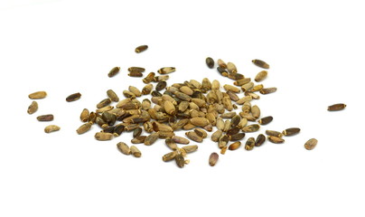 Seeds of a Milk Thistle (Silybum marianum) known as Scotch Thistle or Marian Thistle