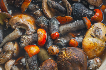 Top Down View of Freshly Collected Red-Capped Scaber Stalk Fungus, Mushrooms (Leccinum Aurantiacum) and Other Edible Species Being Washed Before Processing.