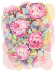 Hand painted watercolor illustration. Fine bouquet with pink roses.