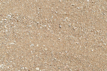 Sand on the coast of the sea close up. Natural abstract background