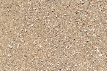 Sand on the coast of the sea close up. Natural abstract background