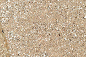 Fototapeta na wymiar Sand on the coast of the sea close up. Natural abstract background