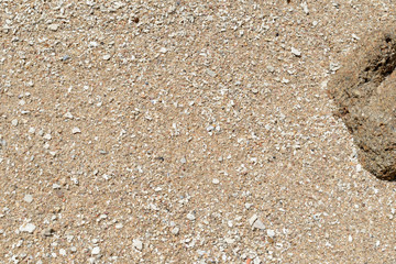 Sand on the coast of the sea close up. Natural abstract background