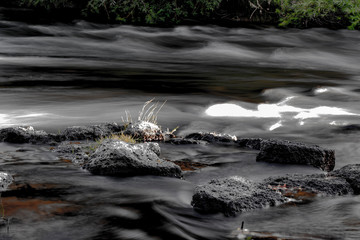 River Flowing Past Rocky Shore with Sparse Vegetation