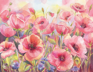 Hand drawn art illustration. Colorful poppy field. Floral wallpaper. 