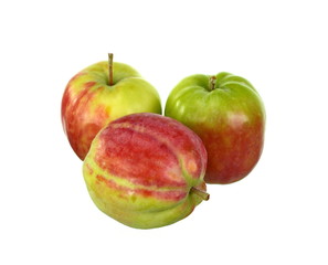 Beautiful natural apple isolated on white.