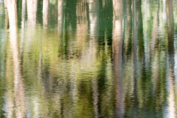Reflections of Lukens Lake. Yosemite National Park, California, USA. Pine trees reflected in Lukens Lake in Tioga Pass.