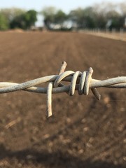 barbed wire