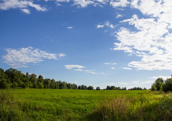 Beautiful field with a forest on the background in the Moscow region