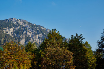 Mountain peaks visible through the trees on a good summer day