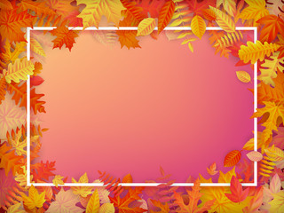 Naklejka na ściany i meble Autumn sale background layout in frame from leaves. Shopping sale or promo poster and frame leaflet or web banner. EPS 10