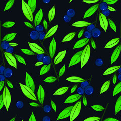 Vector seamless pattern with blueberries. Dark background.