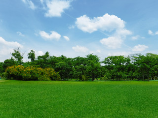 Garden view in a city with beautiful green trees