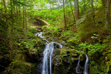 waterfall in the coniferous forest