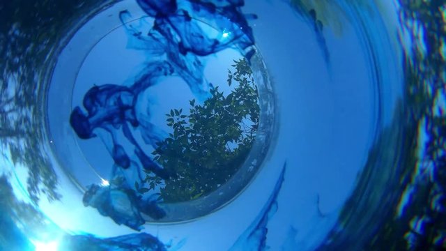 An underwater view of blue dye descending through a cylinder of water with some foliage in background on a sunny day
