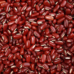 Adzuki beans background from directly above