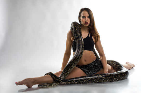 Sexy woman and tiger python in the studio