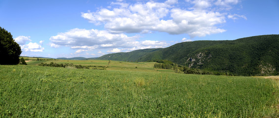 Fields and meadows for background