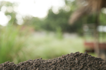 Soil texture with green background for template design