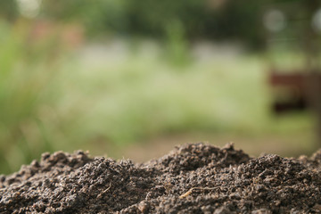 Soil texture with green background for template design