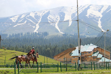 A guy riding a pony at Gulmarg town, Jammu and Kashmir, India.