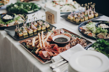 Smoked meat,sauce,prosciutto, salad appetizers on table at wedding or christmas feast. Luxury...