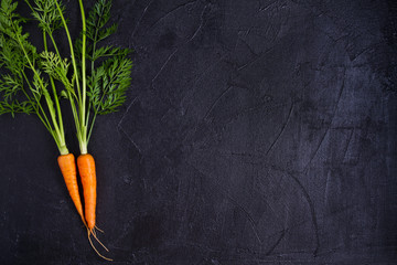 Carrots and beetroots  on dark background. Summer vegetable background. Layout, flat lay, copy space