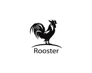 Rooster logo template vector design