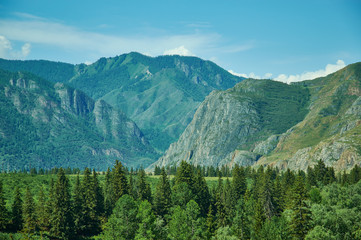 Fototapeta na wymiar Mountain Altai.