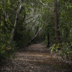 Empty dark abandoned asphalt road