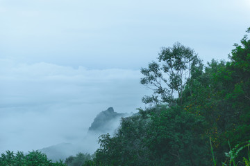 Obraz na płótnie Canvas Viewpoint sea of mist, Beautiful mountain view with fog, sunrise scene, Doi Samer Dao