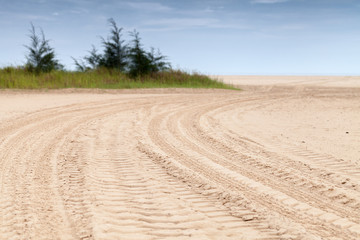 Fototapeta na wymiar Coastal landscape with tire tracks on beach